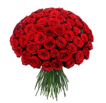 201 красная роза код товара 1870