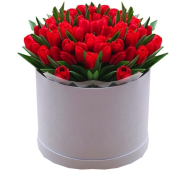 Красные тюльпаны в коробке код товара 2118