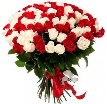 101 красная и белая роза код товара 2128