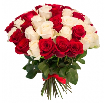 51 красная и белая роза код товара 2130