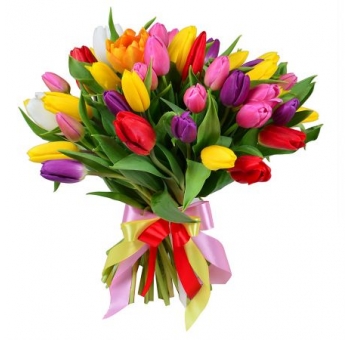 Букет тюльпанов «КРАСКИ ВЕСНЫ» код товара 2242