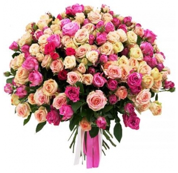  Кустовые розы «КОЛИБРИ» код товара 2299