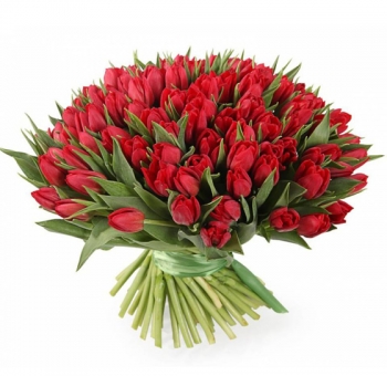 Букет красных тюльпанов #2526